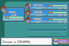 My team at the beginning of this phase of my journey.